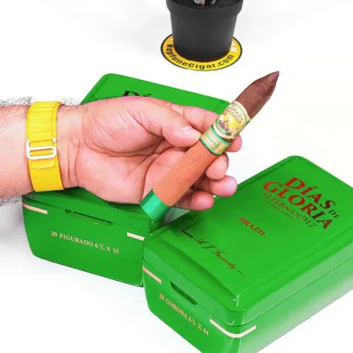 AJ Dias de Gloria Brazil Corona 6 1/2 x 44 Box 20