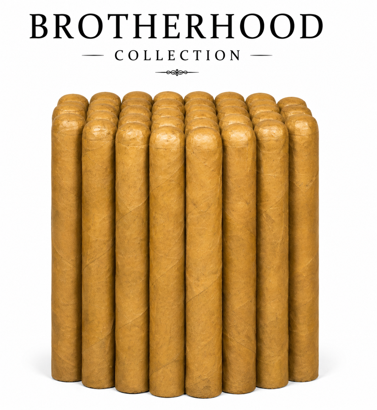 Robusto 5 × 50 Connecticut
