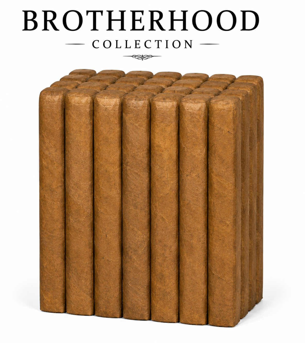 Robusto 5 × 50BP Habano