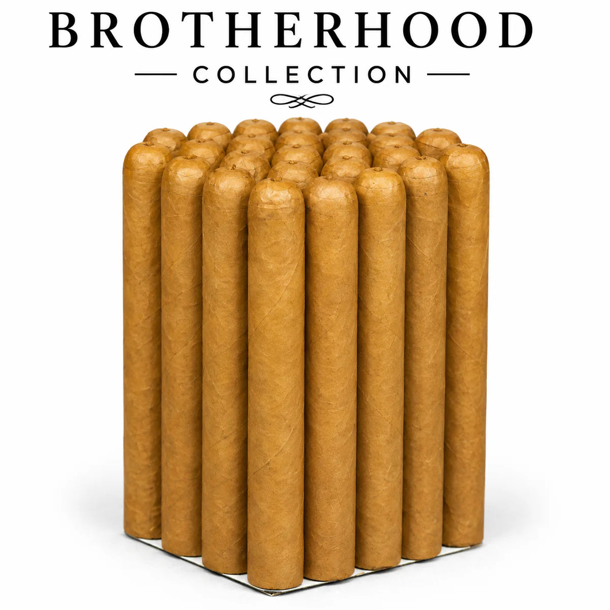 Corona 5 1/2 x 42 Connecticut (25-Pack)